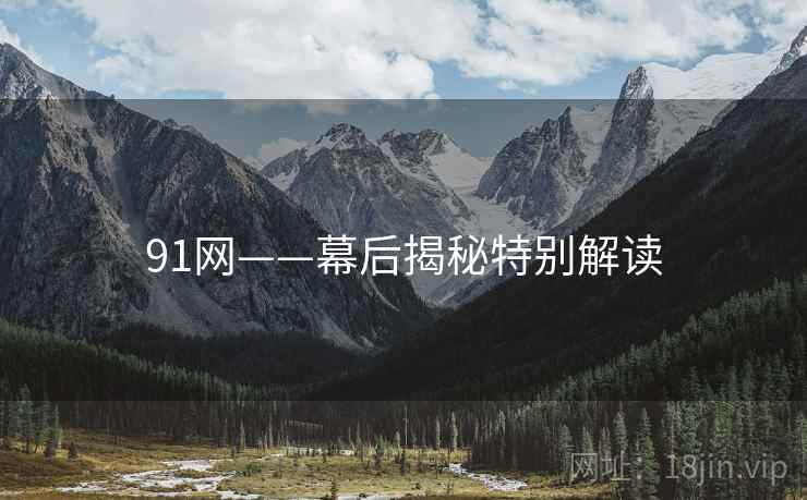 91网——幕后揭秘特别解读