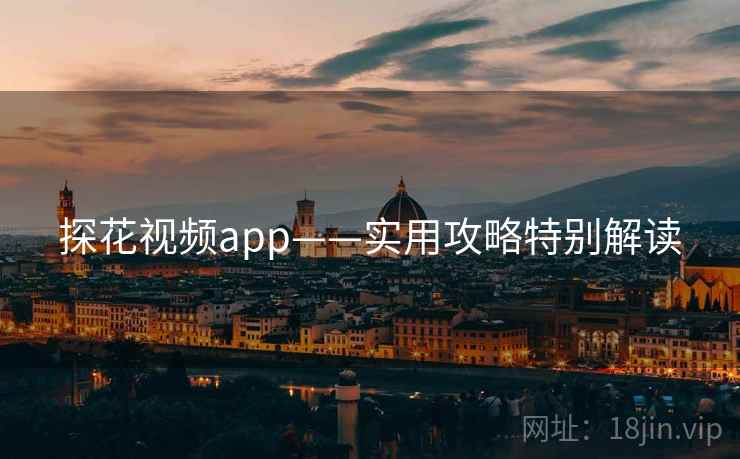 探花视频app——实用攻略特别解读