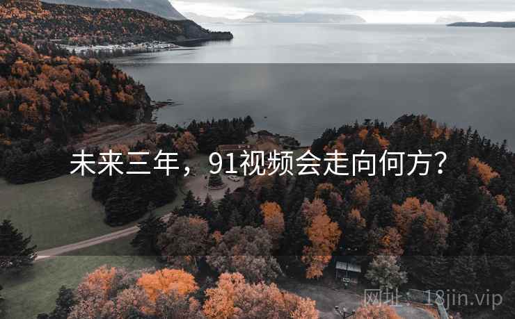 未来三年，91视频会走向何方？  第2张