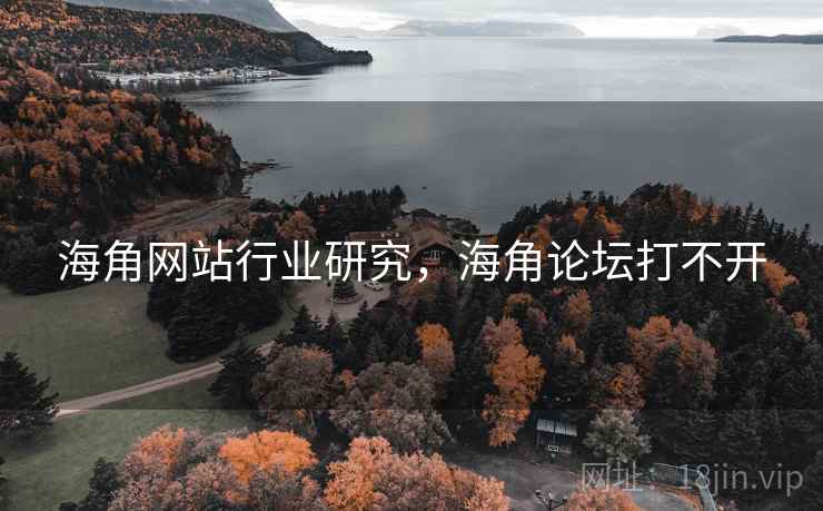 海角网站行业研究，海角论坛打不开  第1张