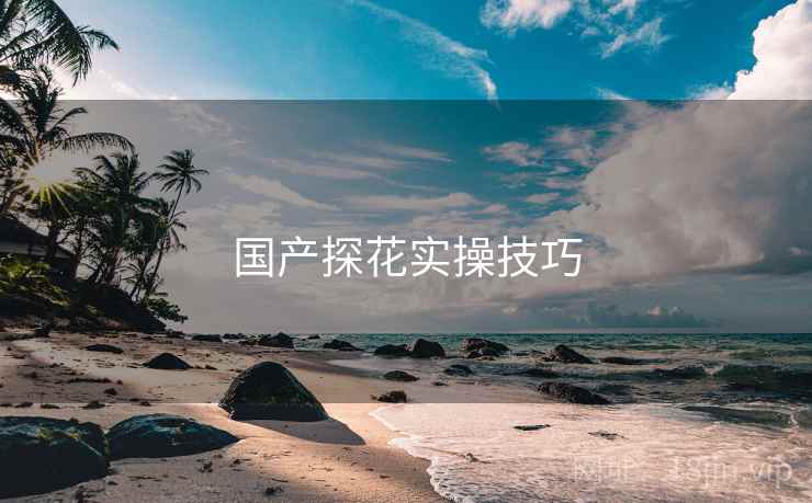 国产探花实操技巧  第2张