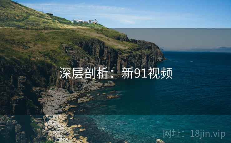 深层剖析：新91视频