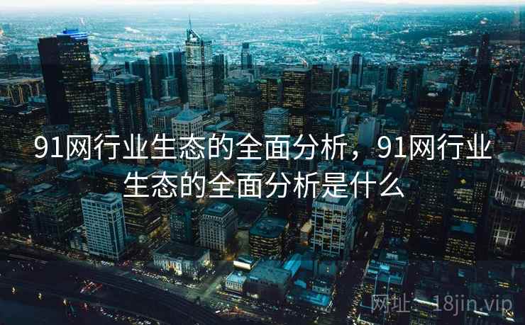 91网行业生态的全面分析，91网行业生态的全面分析是什么