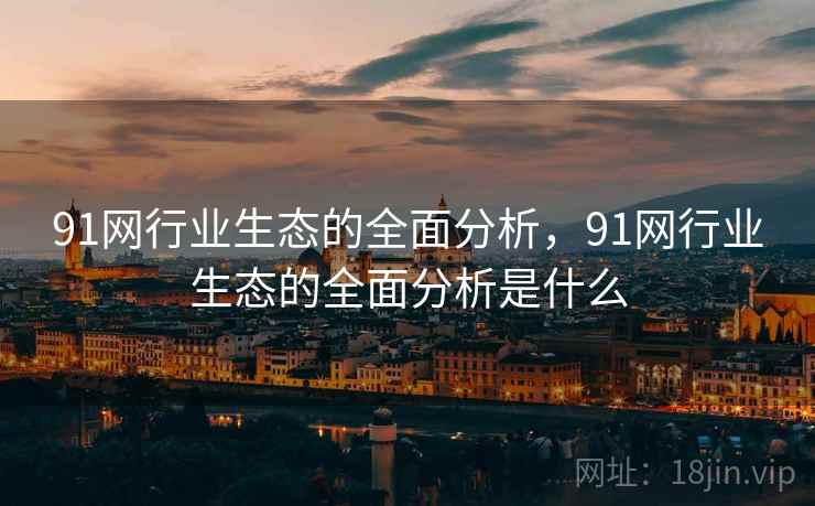 91网行业生态的全面分析，91网行业生态的全面分析是什么