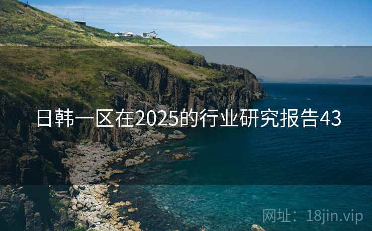 日韩一区在2025的行业研究报告43