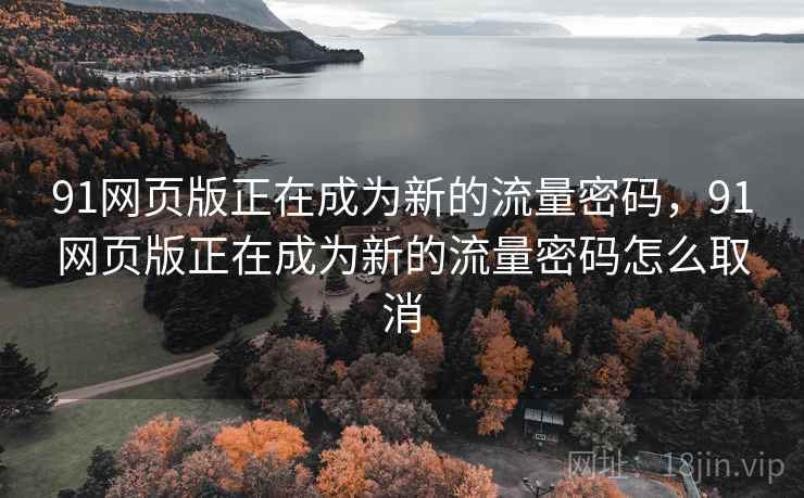 91网页版正在成为新的流量密码，91网页版正在成为新的流量密码怎么取消