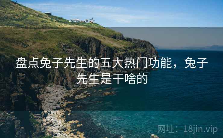 盘点兔子先生的五大热门功能，兔子先生是干啥的