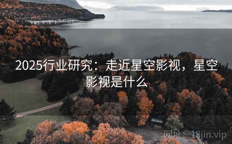 2025行业研究：走近星空影视，星空影视是什么