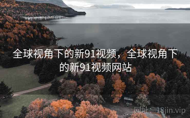 全球视角下的新91视频，全球视角下的新91视频网站