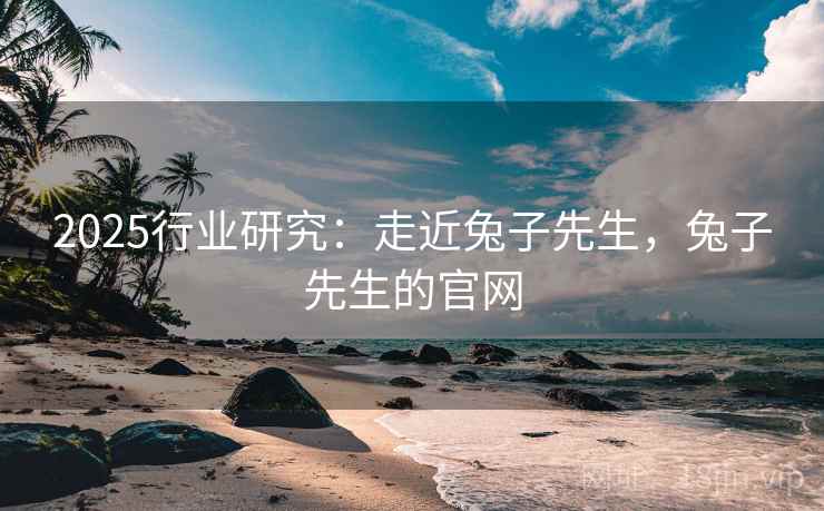 2025行业研究：走近兔子先生，兔子先生的官网
