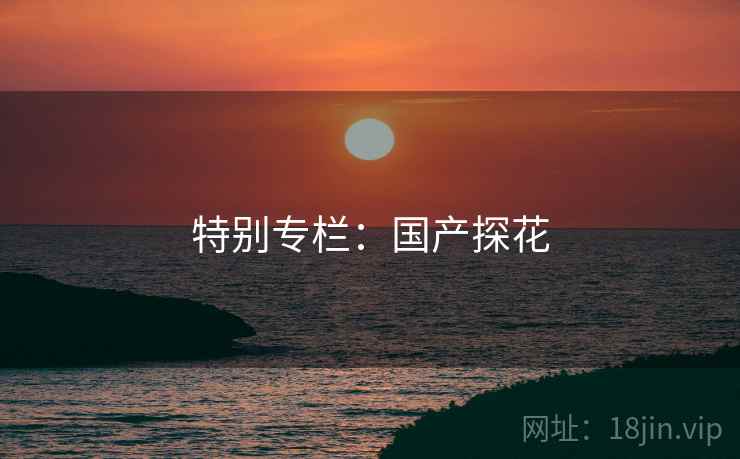 特别专栏：国产探花