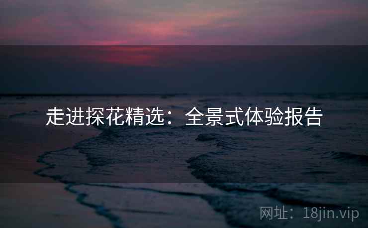走进探花精选：全景式体验报告