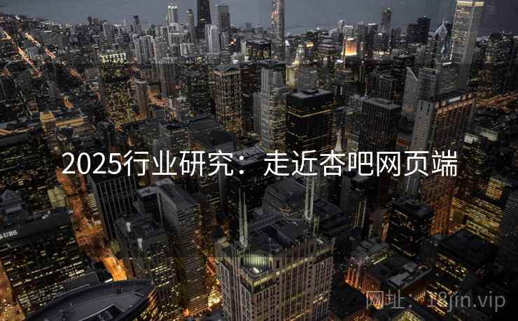 2025行业研究：走近杏吧网页端