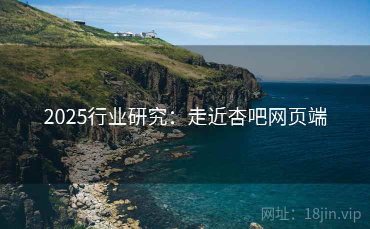 2025行业研究：走近杏吧网页端