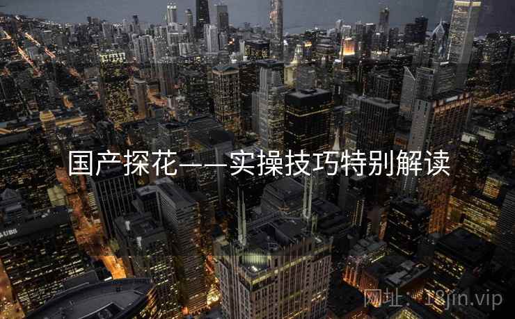 国产探花——实操技巧特别解读