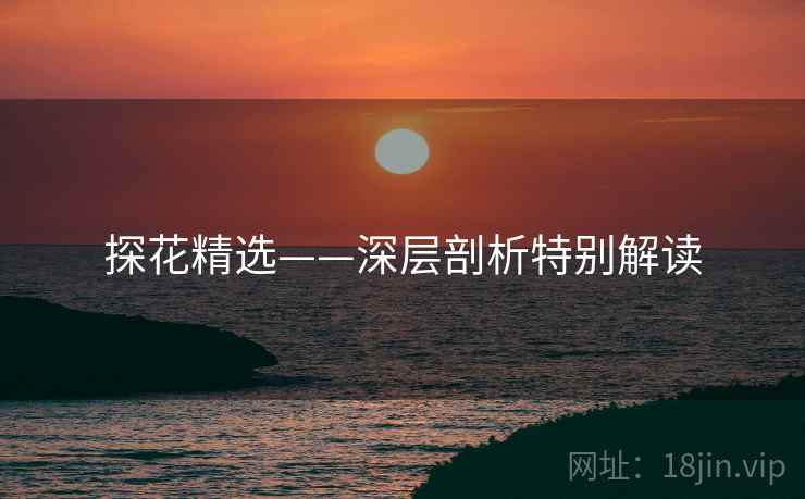 探花精选——深层剖析特别解读