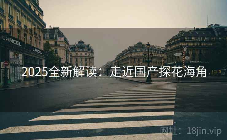 2025全新解读：走近国产探花海角