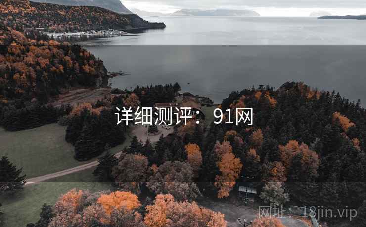 详细测评：91网