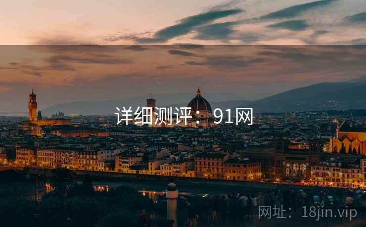 详细测评：91网