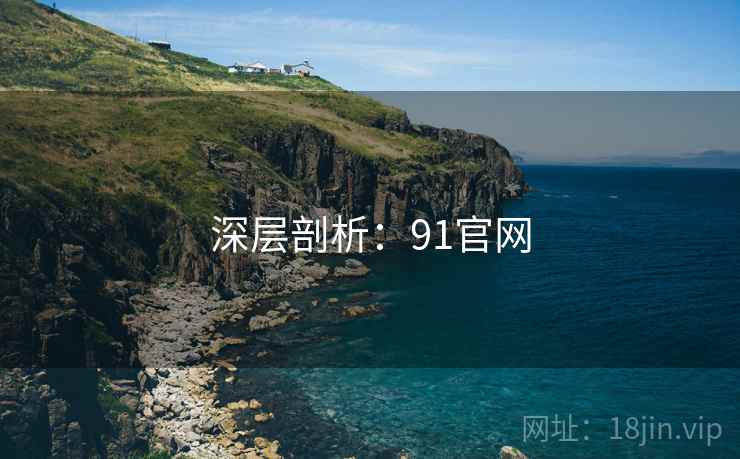 深层剖析：91官网