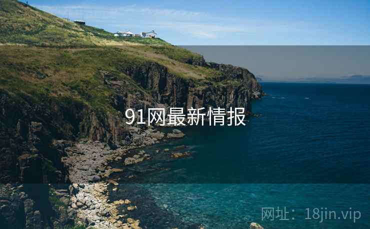 91网最新情报