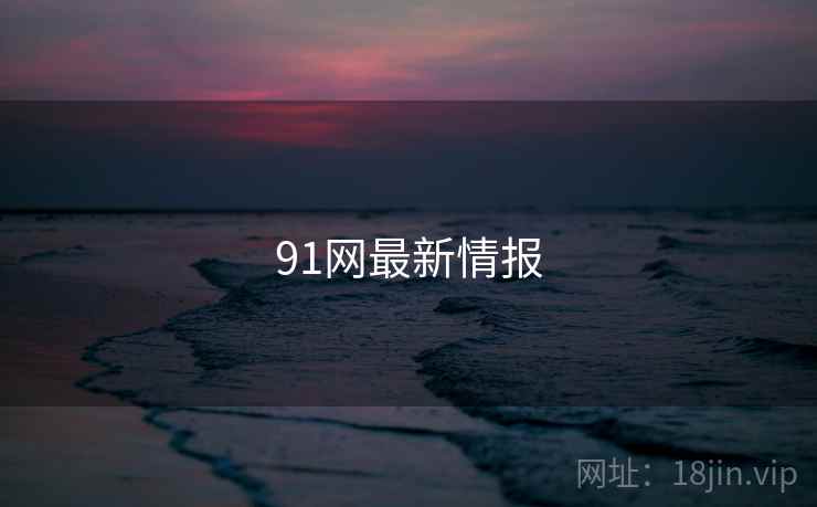 91网最新情报