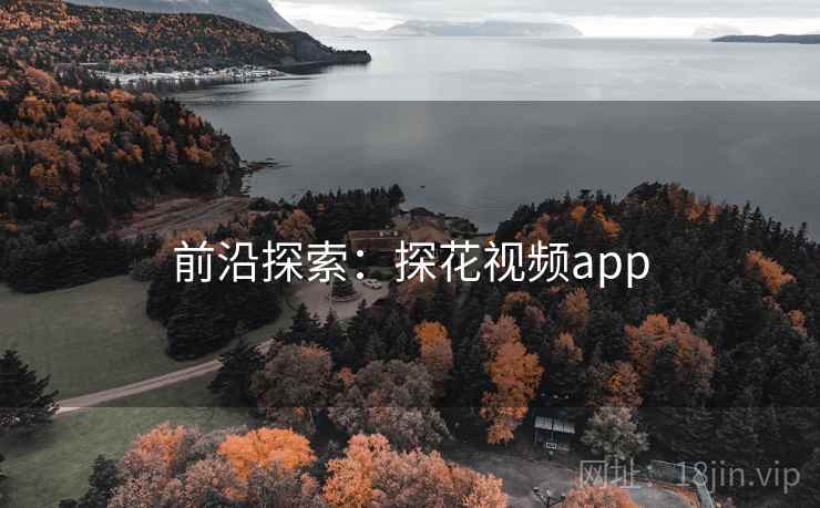 前沿探索：探花视频app