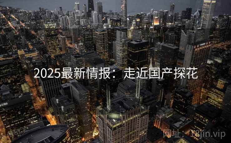 2025最新情报：走近国产探花