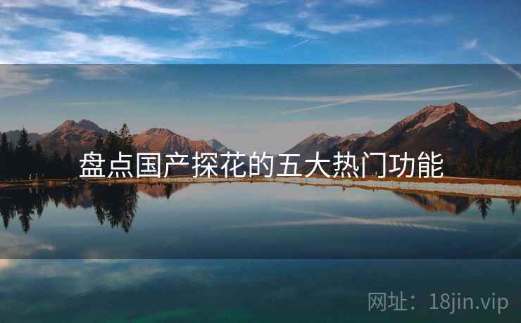 盘点国产探花的五大热门功能