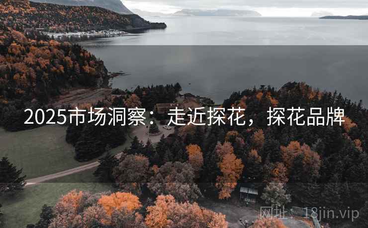 2025市场洞察：走近探花，探花品牌