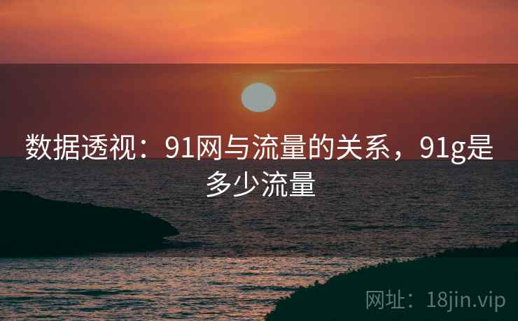 数据透视：91网与流量的关系，91g是多少流量
