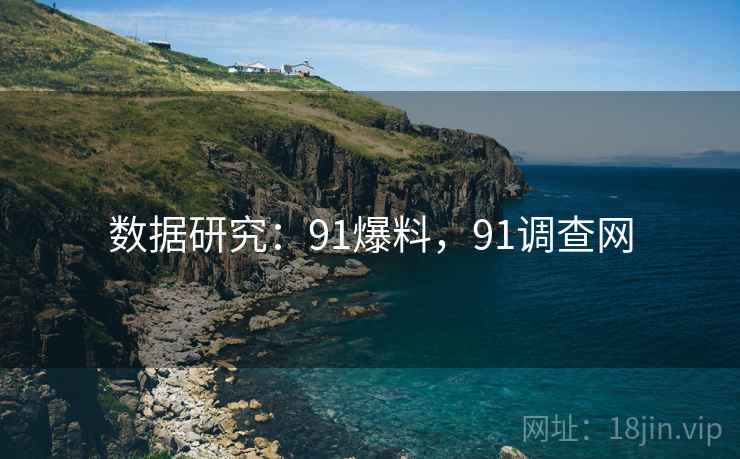 数据研究：91爆料，91调查网