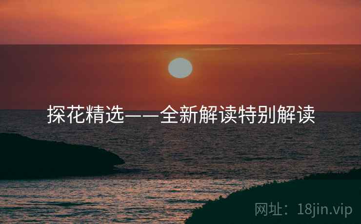 探花精选——全新解读特别解读