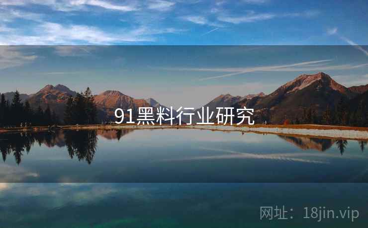 91黑料行业研究