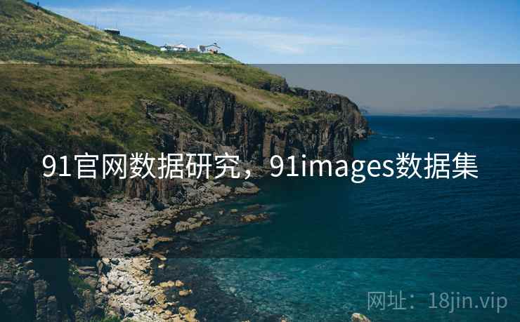 91官网数据研究，91images数据集