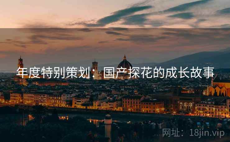 年度特别策划：国产探花的成长故事