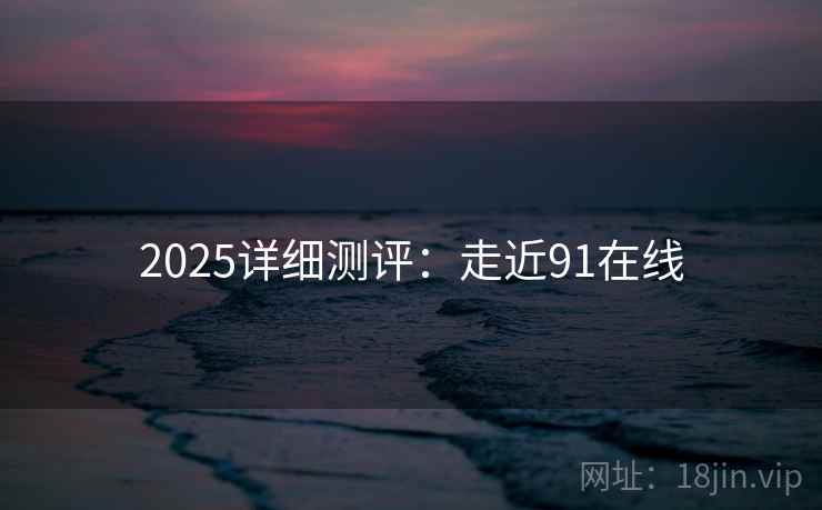 2025详细测评：走近91在线