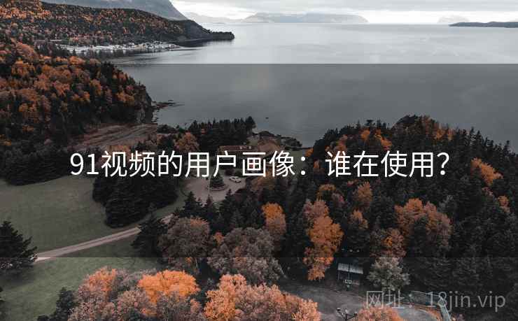 91视频的用户画像：谁在使用？