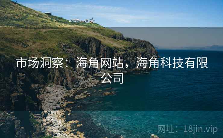 市场洞察：海角网站，海角科技有限公司  第2张