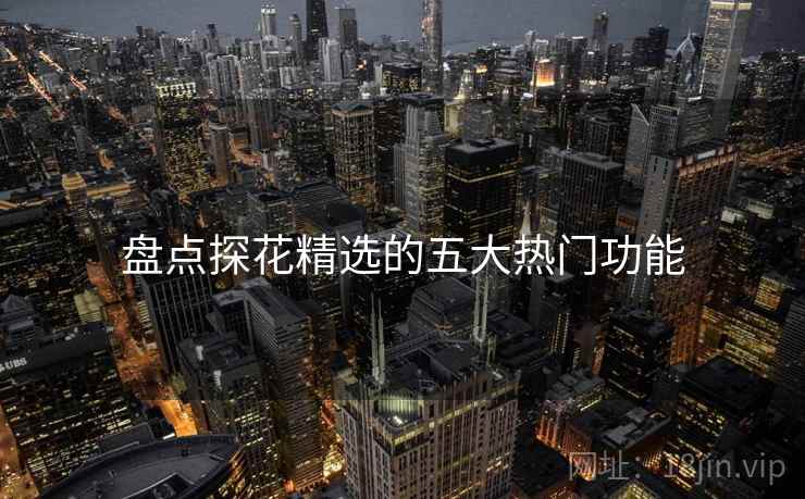 盘点探花精选的五大热门功能