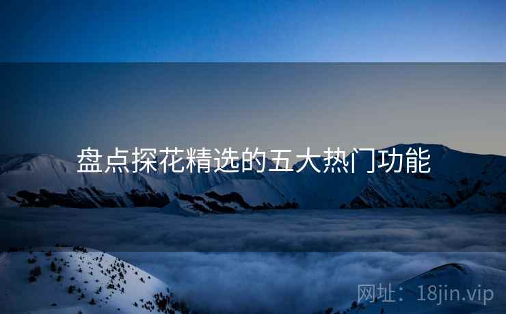 盘点探花精选的五大热门功能