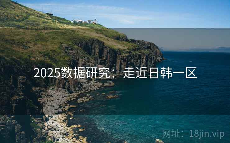 2025数据研究：走近日韩一区