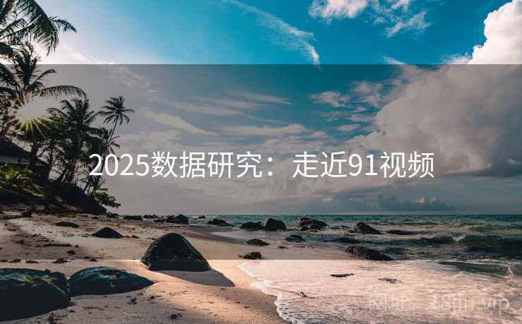 2025数据研究:走近91视频