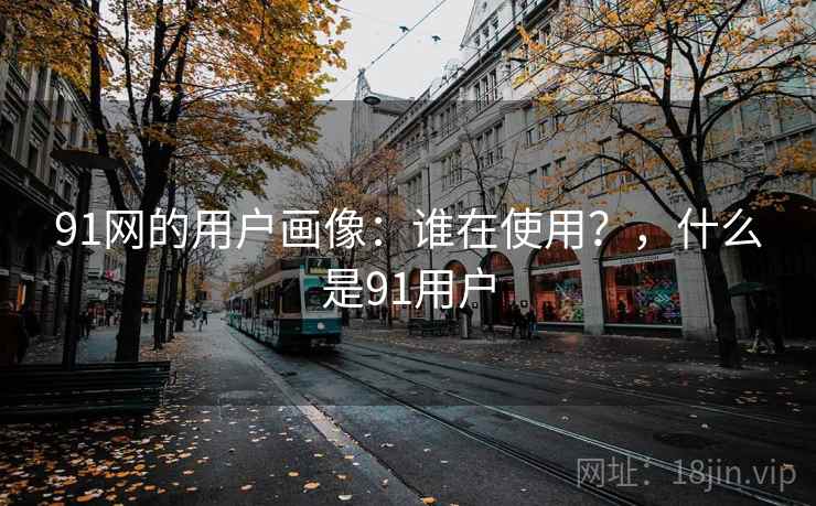 91网的用户画像:谁在使用?,什么是91用户