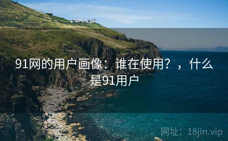 91网的用户画像:谁在使用?,什么是91用户