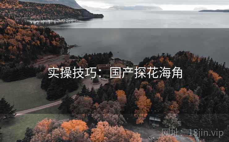 实操技巧:国产探花海角